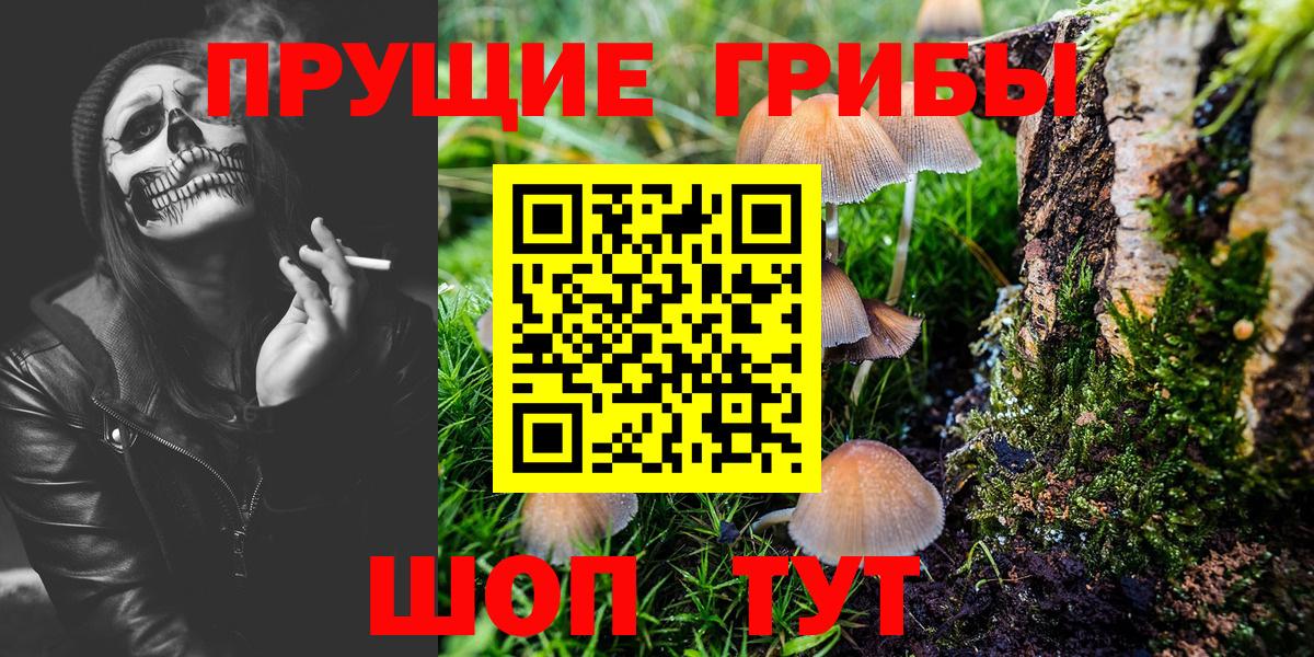 Пермь  Галлюциногенные грибы мухоморы  Вход с VPN 